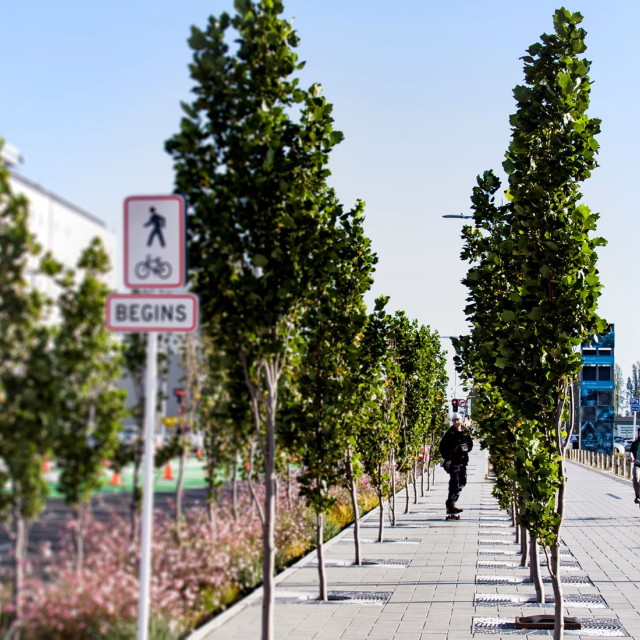 Firth Paving Christchurch City Council