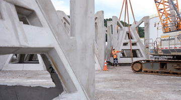 New concrete reef gets thumbs up from the fish