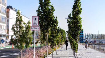 Firth paving - the choice of Christchurch City Council 